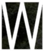 Logo for Waterloo Landscape and Design